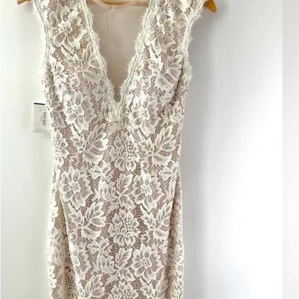 Elegant Lace Sleeveless Dress